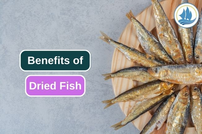5 Reason Why Drying Is A Great Way To Preserve Fish